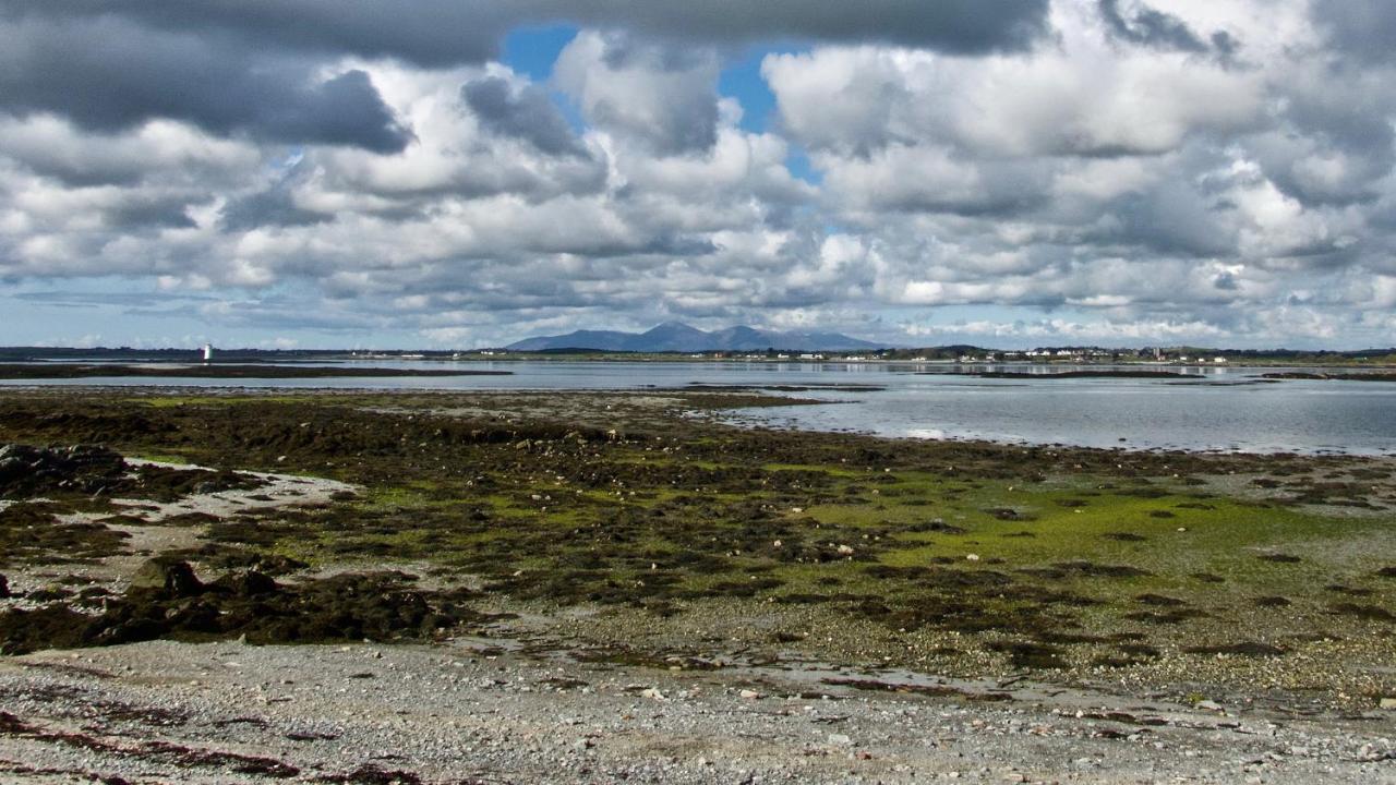 The Apartment - Barr Hall Barns Portaferry Ngoại thất bức ảnh